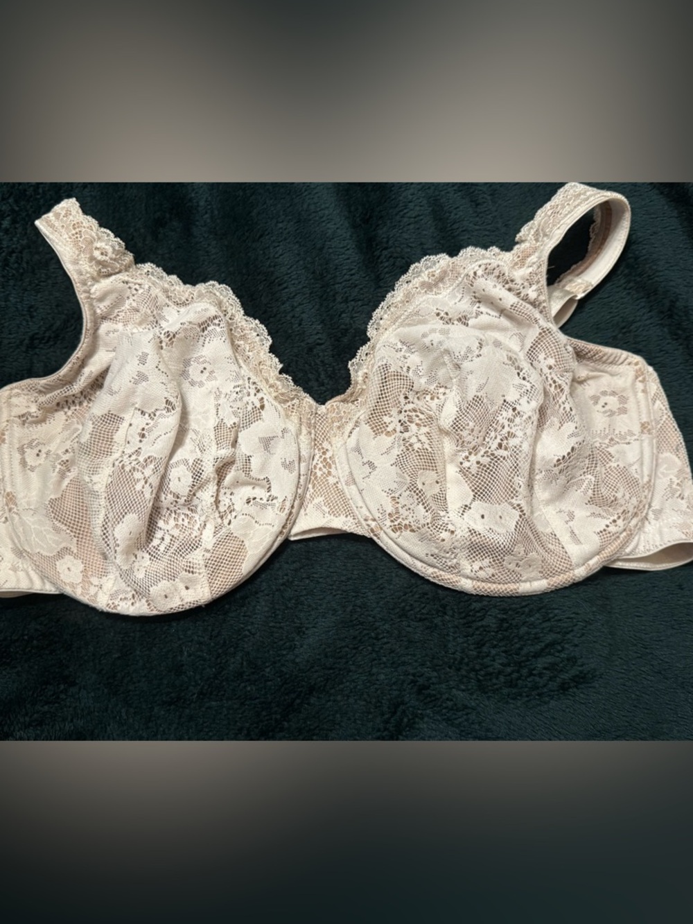 Cacique Lace Underwire Bra in Ivory